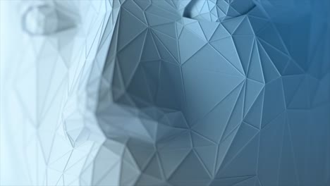 abstract polygonal face design