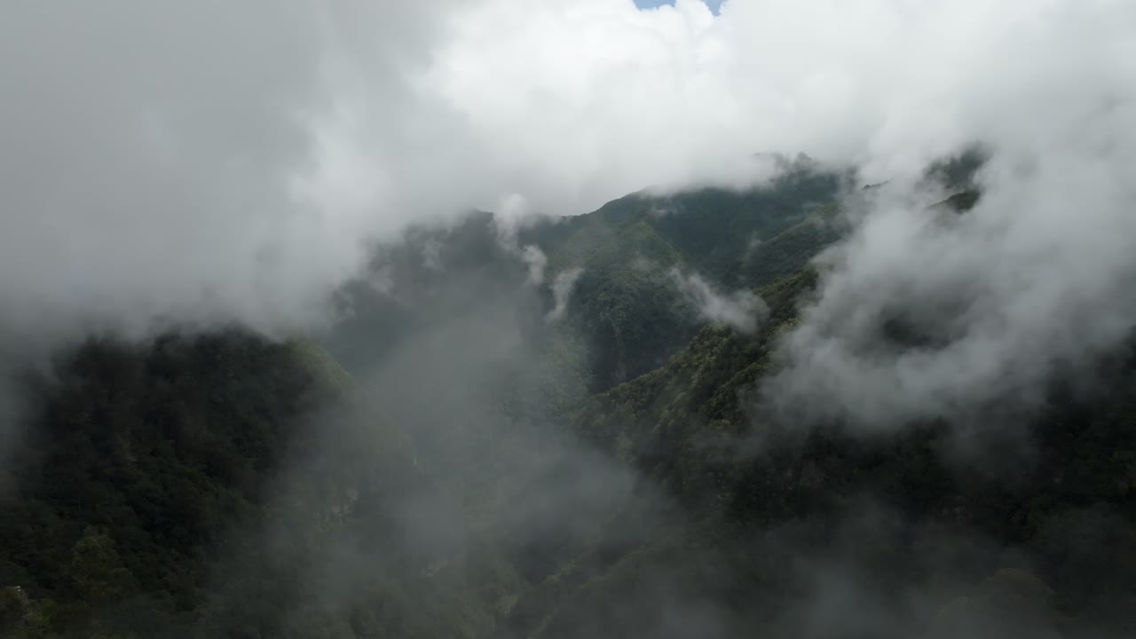 포르투갈 마데라 산에서 촬영된 영상