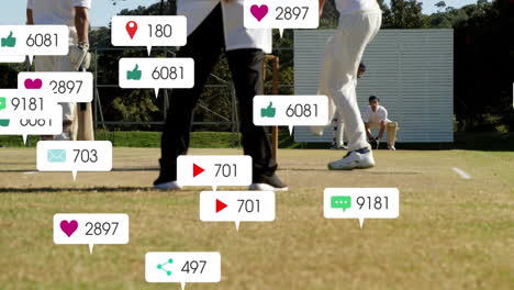 animating social media engagement over cricket players on field