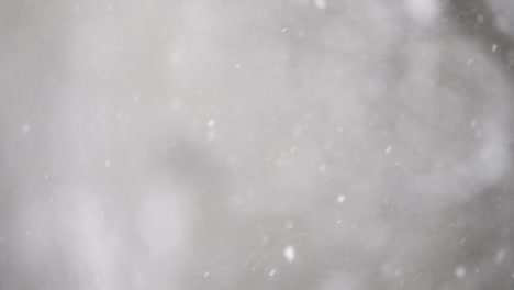 nieve cayendo en cámara lenta sobre un fondo gris oscuro