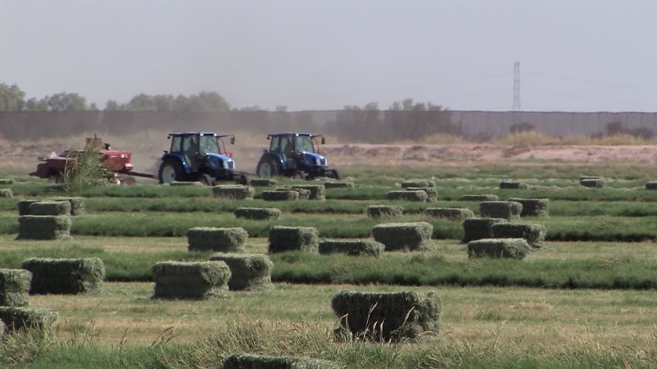 producción de fardos de heno en el campo en california, ee.uu.