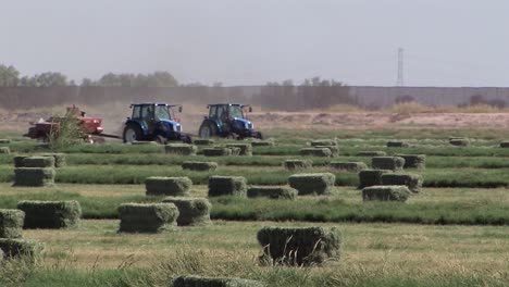 Producción-De-Pacas-De-Heno-En-Campo-En-California,-Estados-Unidos