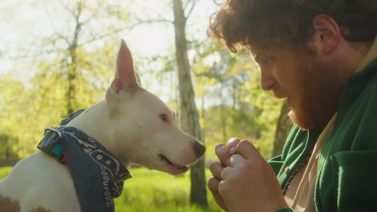 Man feeding and petting his dog in a sunny park