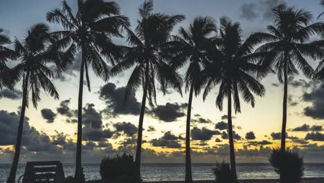 sunset on rarotonga island with palm trees, sandy beaches and ocean waves