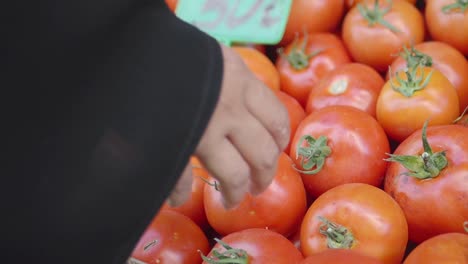 a person's hand is selecting ripe red tomatoes at a market stall.