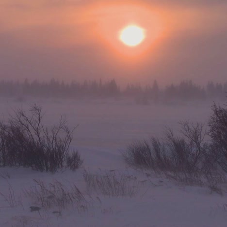 amanecer-or-sunset-over-frozen-tundra-in-the-Arctic-during-an-intense-blizzard-1