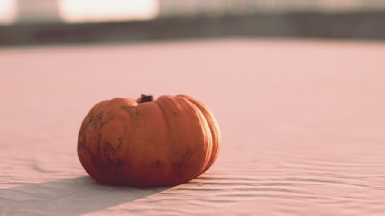 calabaza de halloween en las dunas de la playa