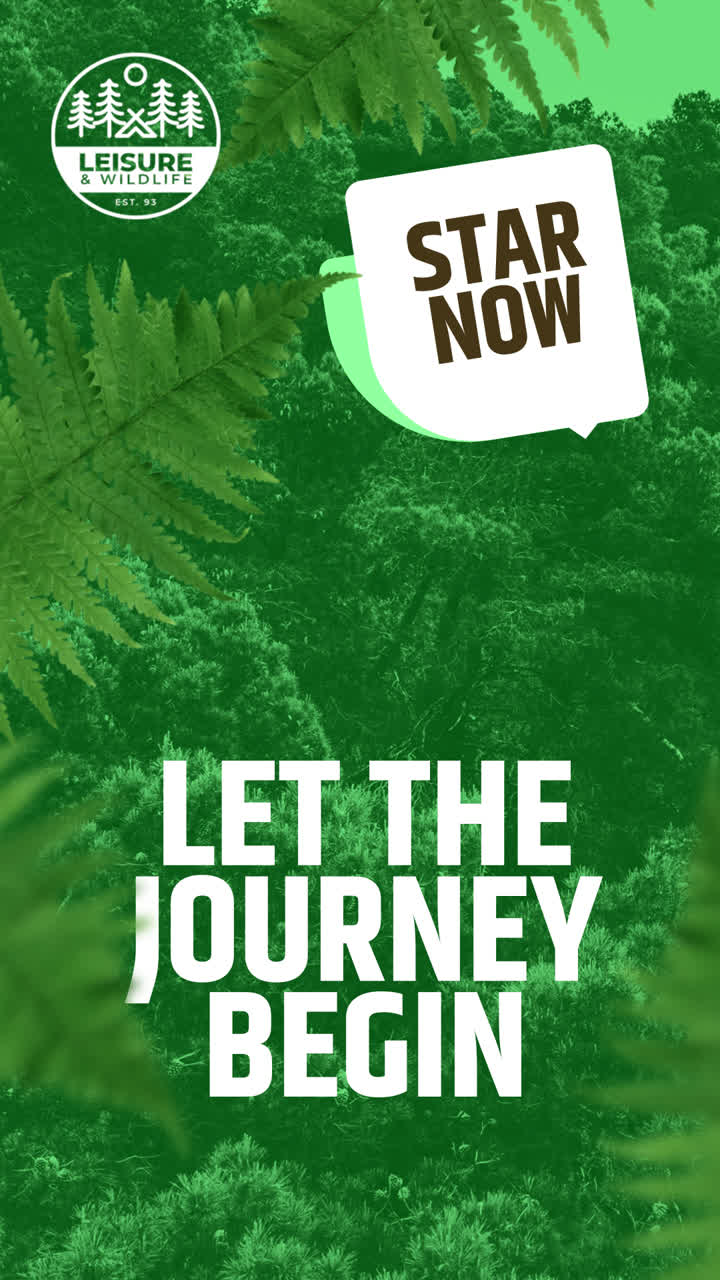 Let the Journey Begin in Nature and Wildlife