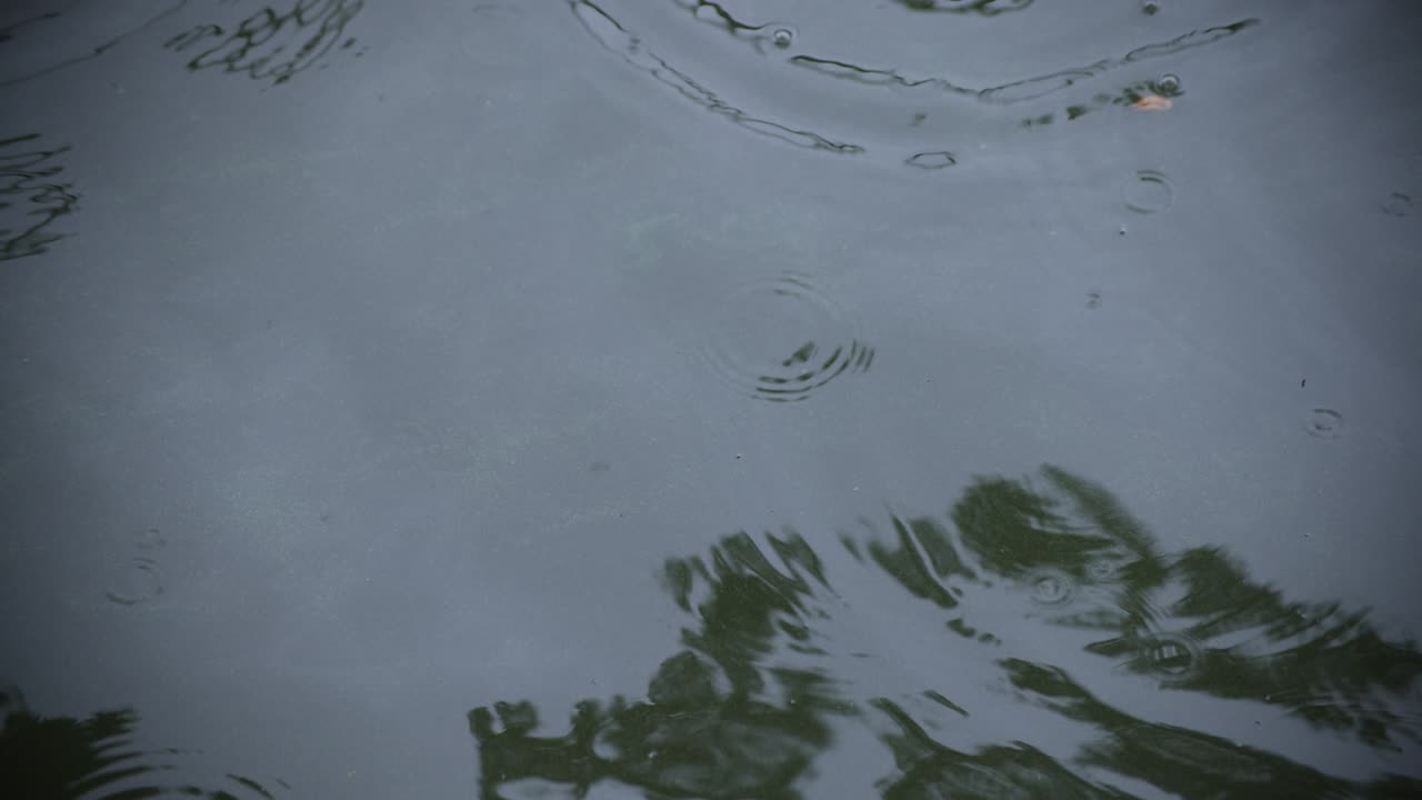 A slow motion of rain drop in the water the pond rainy day closeup