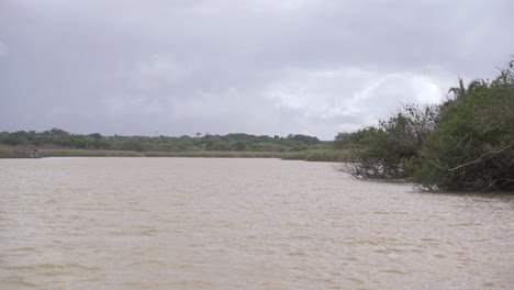 de la población de st.