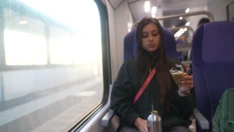 woman traveling by train
