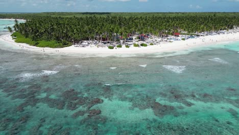 Aerial-shot-of-a-vacational-beach-at-the-coast-of-Saona-Island-in-the-Dominican-Republic-full-of-tourists