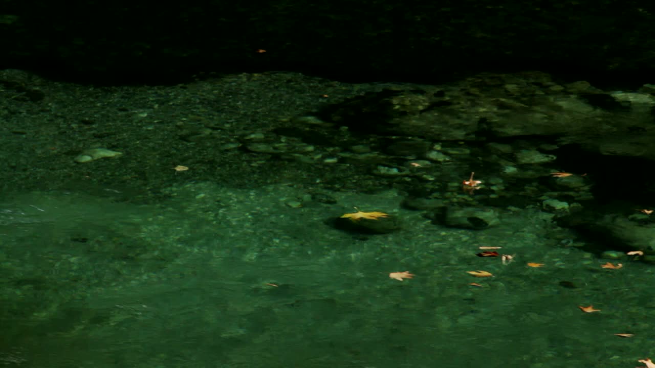 las hojas fluyen flotando en las aguas cristalinas del río aoos en grecia