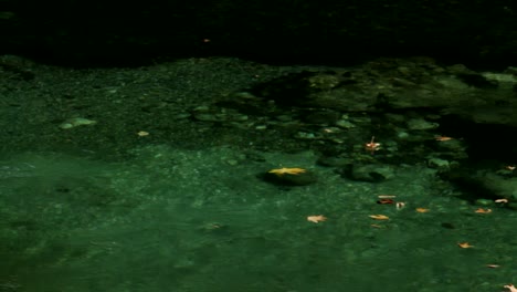 las hojas fluyen flotando en las aguas cristalinas del río aoos en grecia