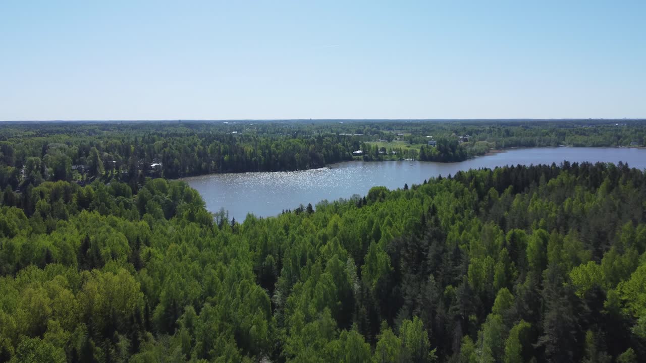 북쪽 호수의 반이는 파란색 표면으로 울창한 푸른 숲을 날아갑니다.