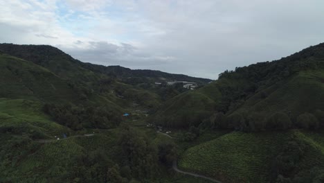 Antena-De-Las-Famosas-Tierras-Altas-Verdes-En-Malasia-Con-Plantaciones-De-Té