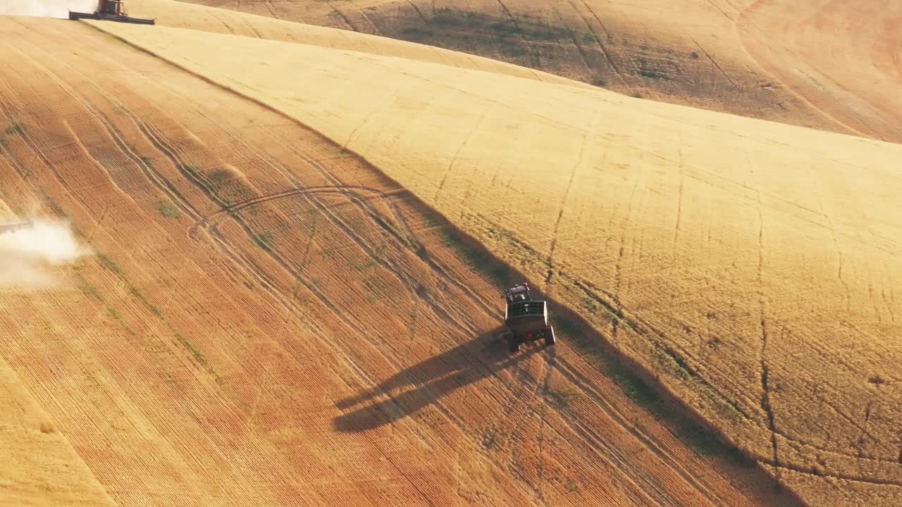 Harvesting Season on the Farm
