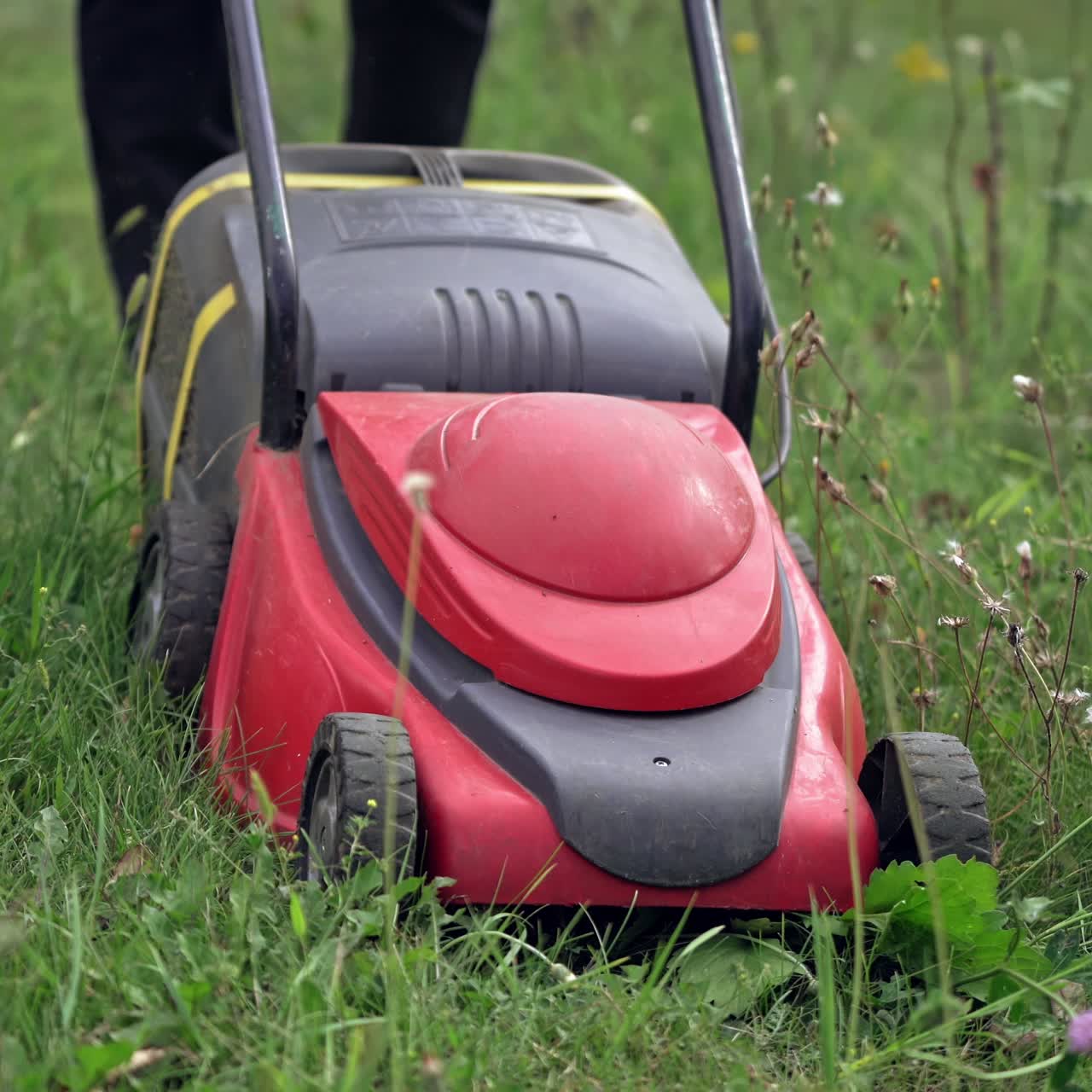 Lawn mower cutting the grass. Gardening activity. Gardener works with red electric mower in summer.