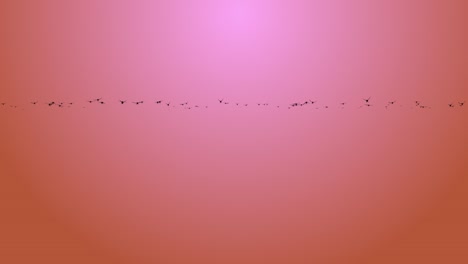 4k fondo de una gran bandada de aves voladoras en el cielo agua.