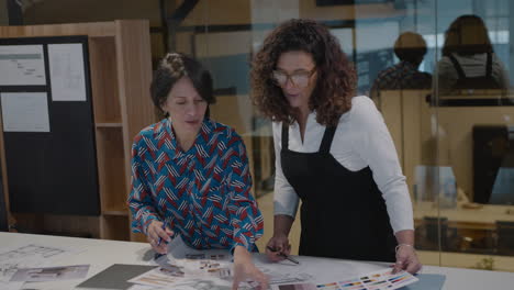 mature female colleagues discussing architectural project
