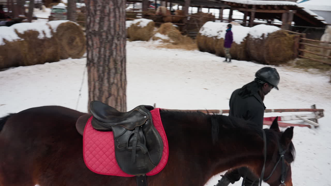 겨울 목초지 장면 속 말, 트레이너와 함께 눈 덮인 들판을 여행하는 말의 아름다운 장면, 나무와 건초 더미가 있는 겨울 풍경을 걸어가는 말을 담은 평온한 이미지