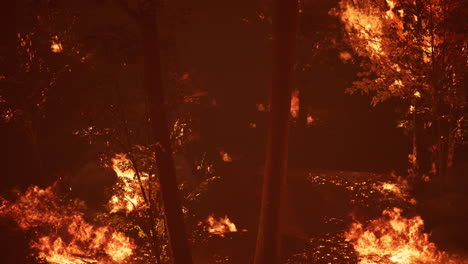 grandes llamas de incendios forestales por la noche