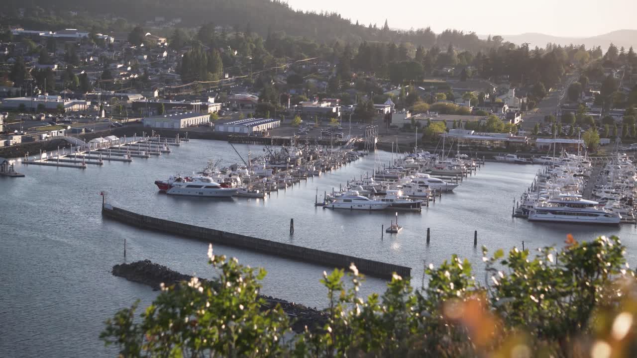 Marina And Anacortes City From Cap Sante Park In Skagit County, Washington, United States.  -wide shot