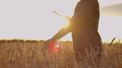 Joven-Agricultora-Con-Camisa-A-Cuadros-En-Campo-De-Trigo-Al-Fondo-Del-Atardecer.-La-Niña-Usa-Una-Tableta-Para-Cosechar.