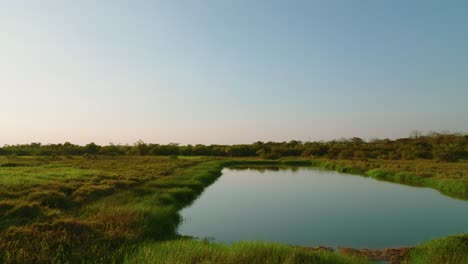 Ruhiges-Gewässer-Inmitten-üppiger-Vegetation-In-Arauca,-Kolumbien,-Unter-Klarem-Himmel