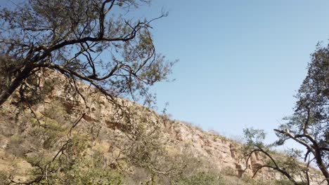 Travelling-Shot-of-Cliffs-Through-Trees-at-Ranthambore-National-Park,-Rajasthan,-India