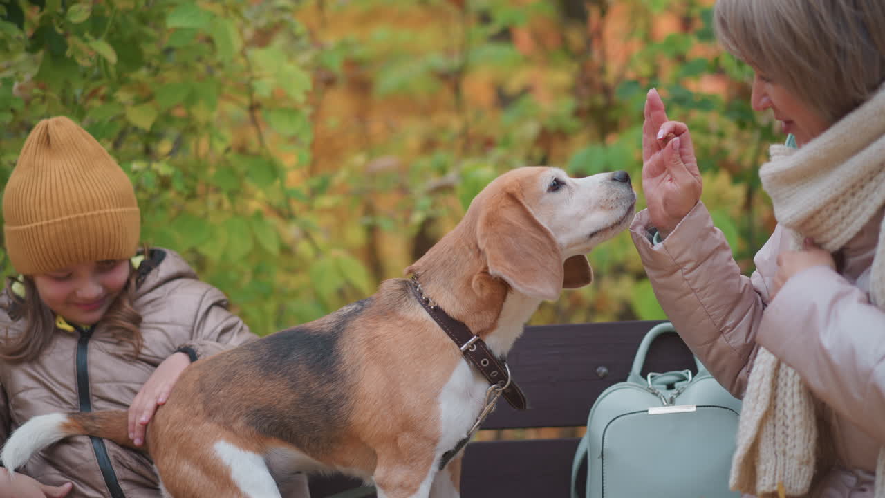 mother wearing pastel jacket and knit scarf gently feeds beagle perched on bench beside smiling daughter in mustard hat, surrounded by vibrant autumn foliage and scattered golden leaves