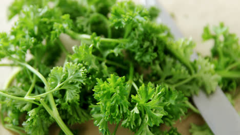 fresh coriander leaves with knife 4k