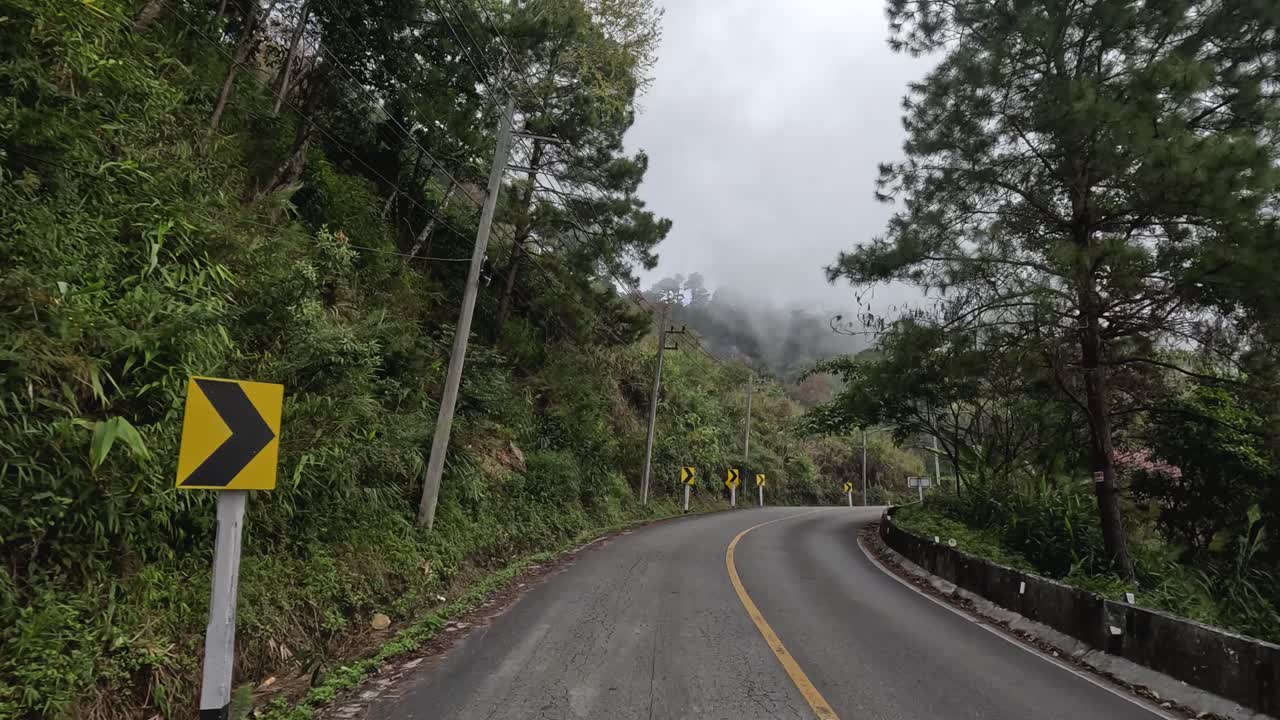 숲 속 의 휘어지는 산길 을 가로질러 여행 하는 것
