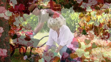 pareja madura haciendo jardinería con una alfombra de corazón en primer plano