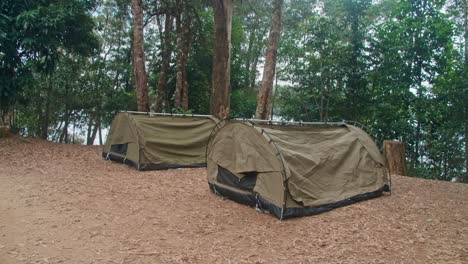 two olive green swags set up in a cleared camping ground next to a river