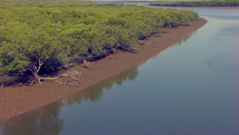 aerial flight over shrub and tree along shores, rivers