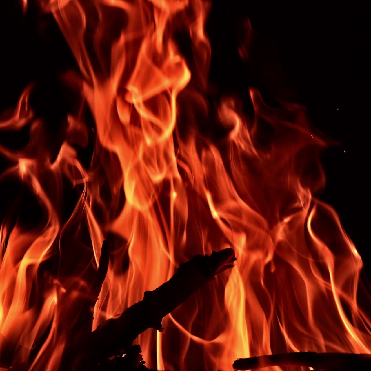 Rami di legno che bruciano nel grande falò. Splendida vista delle fiamme che si alzano. Sfondo nero