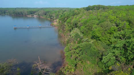 Lush vegetation covering tropical island coast meeting calm ocean water and small sandy beach. Unique aerial view flight static tripod hovering drone