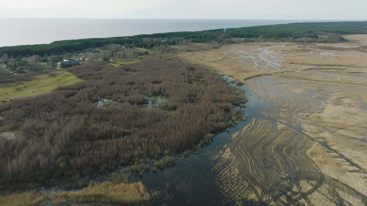Aerial establishing view of the lake overgrown with dry reeds, lake Pape nature park , sunny spring day, reflections on the water surface, wide drone shot moving forward