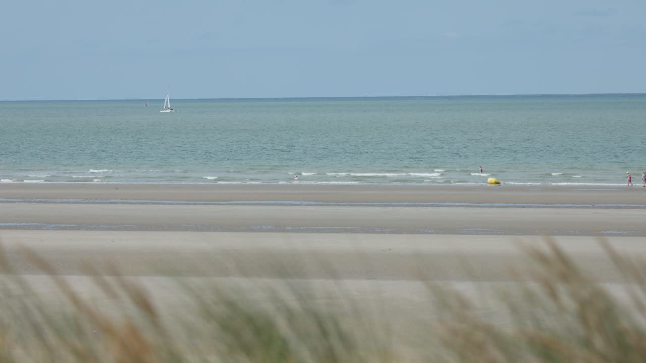 Wide shot of sandy beach, sailboat on horizon, swimmers, gentle waves, daylight, slight foreground blur