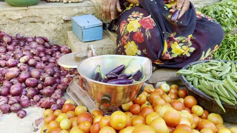 women is selling eggplant, aubergine, brinjal, or baigan in vegetable market, farmers market, sabzi mandi