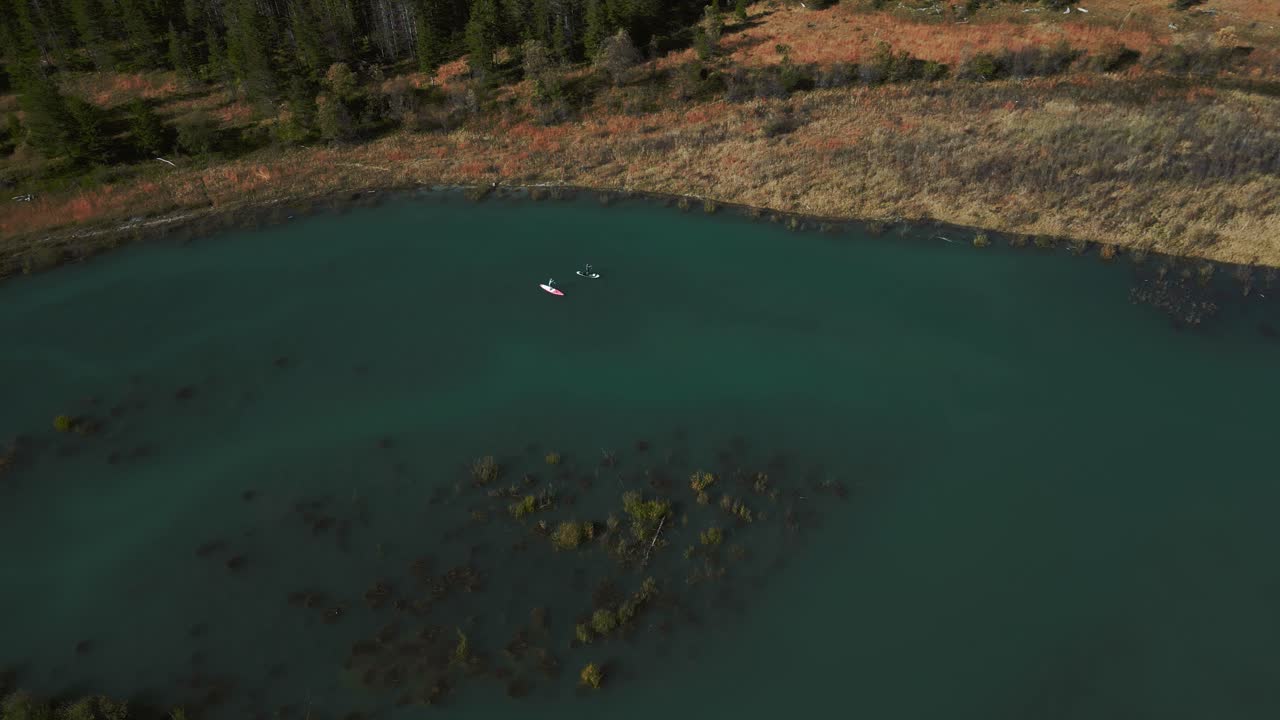 실벤슈타인 슈파이처(sylvenstein speicher)에 있는 두 개의 스탠드업 패들 보드, 바이에른 오스트리아 알프스(bavaria austria alps)의 푸른 물이 있는 경치 좋은 산 계곡 강 저수지 호수, 나무를 따라 아름다운 숲 아래로 흐르고 있습니다.