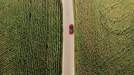 Toma-De-Arriba-Hacia-Abajo-De-Un-Camión-Espía-Rojo-Conduciendo-Por-El-Largo-Y-Sinuoso-Camino-Con-El-Techo-Abierto-En-Los-Países-Bajos-Bajo-La-Vibrante-Luz-Del-Sol---Drone-Aéreo