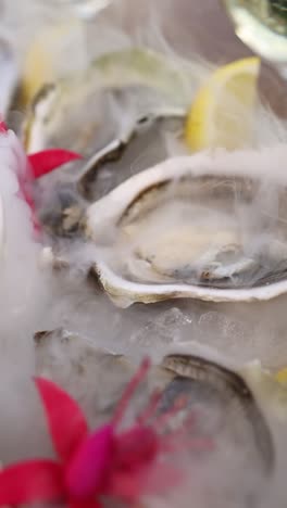 fresh oysters on ice with smoke