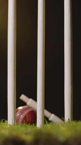 vertical video cricket still life with close up of bails resting on ball in grass behind stumps 2