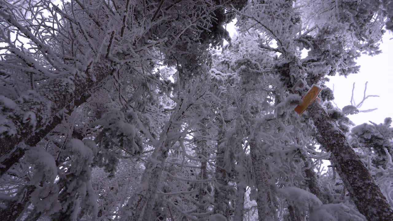 Toma de seguimiento con paneo en la maravillosa montaña del este canadiense en invierno