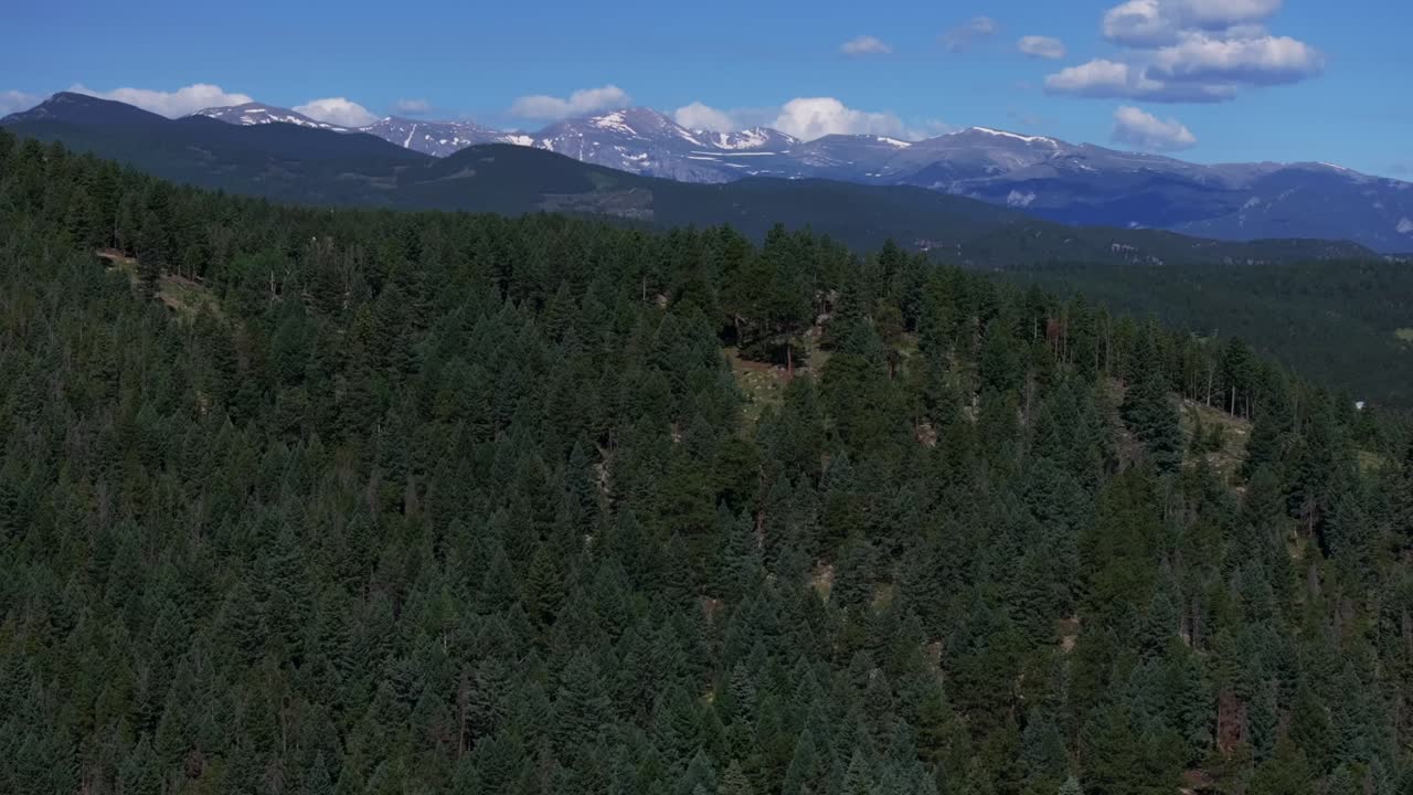 verano monte azul cielo evans drone aéreo coníferas de hoja perenne colorado nieve derretida mañana soleada montañas rocosas paisaje norte turkey creek bosque marshdale espacio abierto hacia adelante hacia arriba revelar movimiento