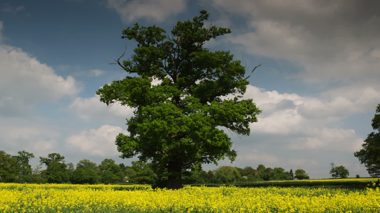 아름다운 초원 00
