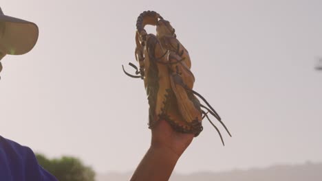 baseball player catching a ball during a match