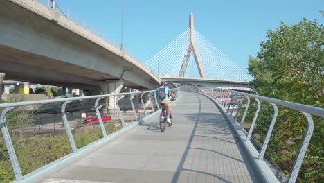 north bank bridge